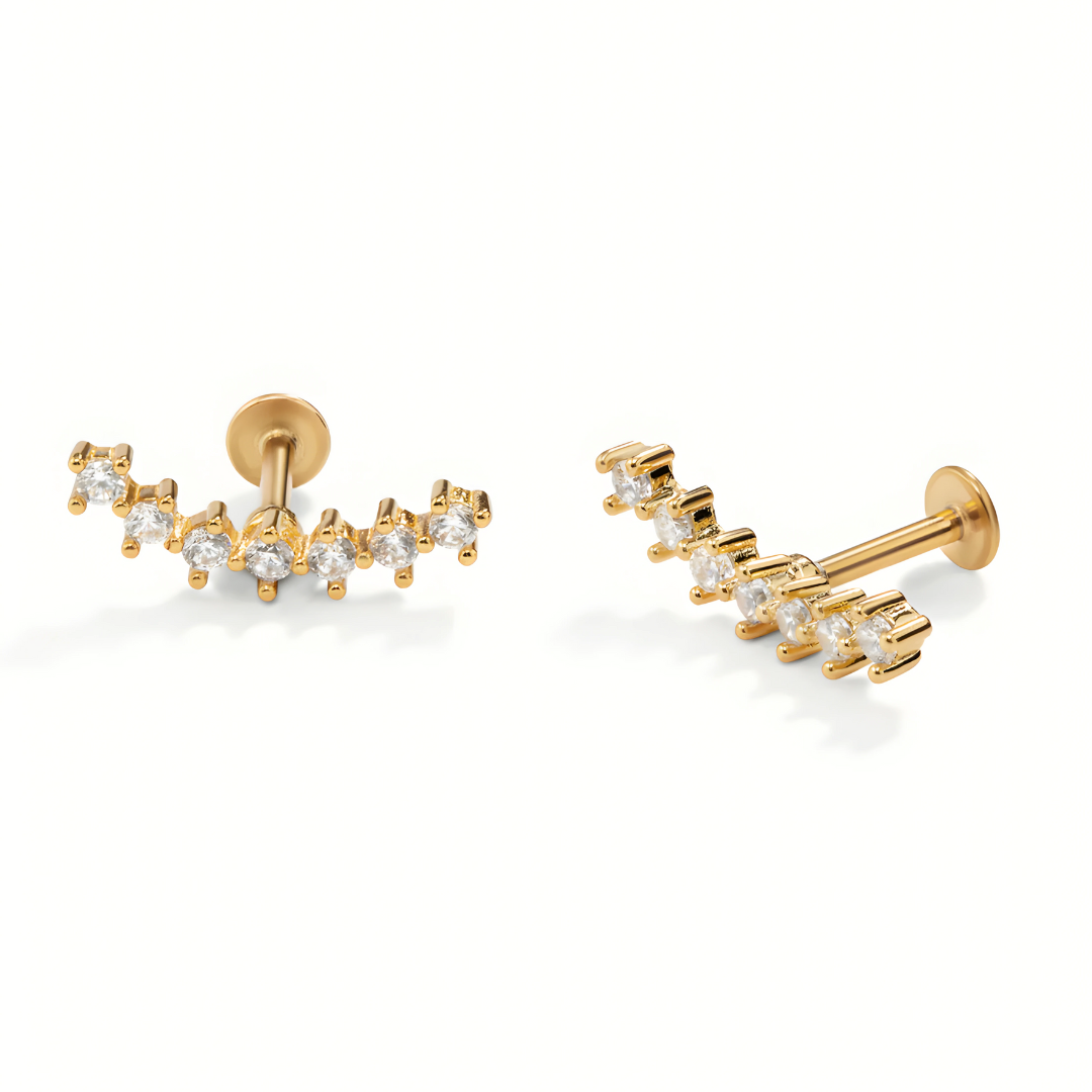 Galene S925 Earrings