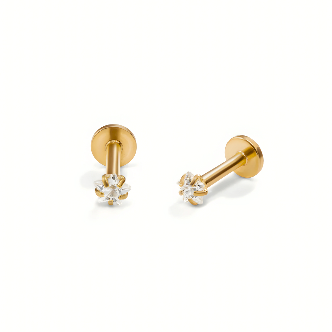Etra S925 Earrings