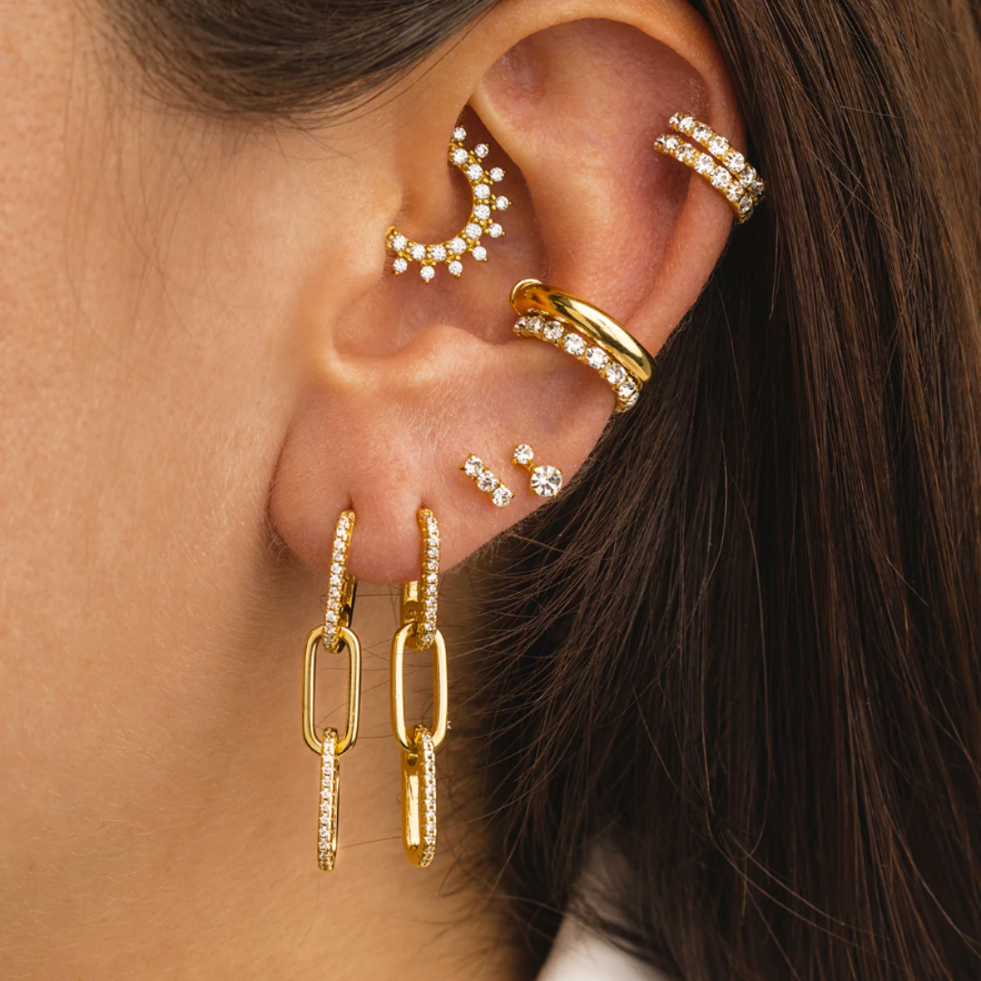 Venus S925 Earrings