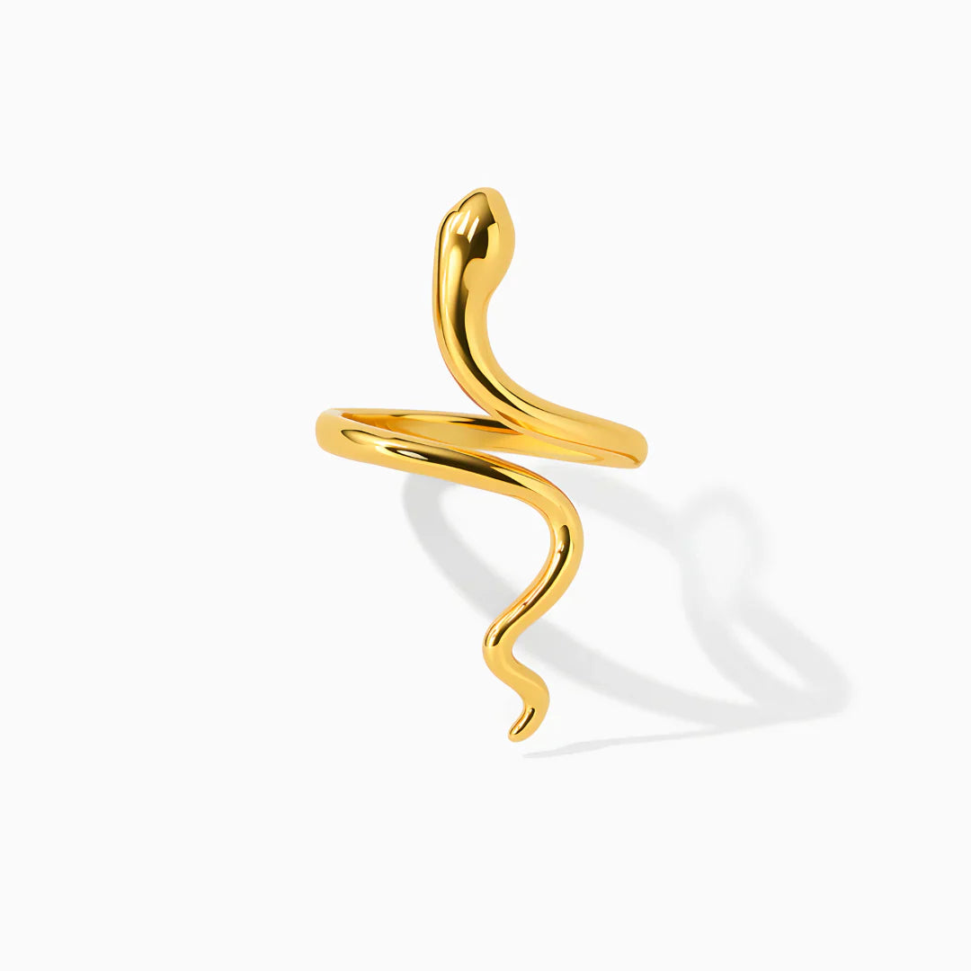 Anillo Renacer – Transformación y poder interior - Anillos de Plata y Oro | Valentina Jewels