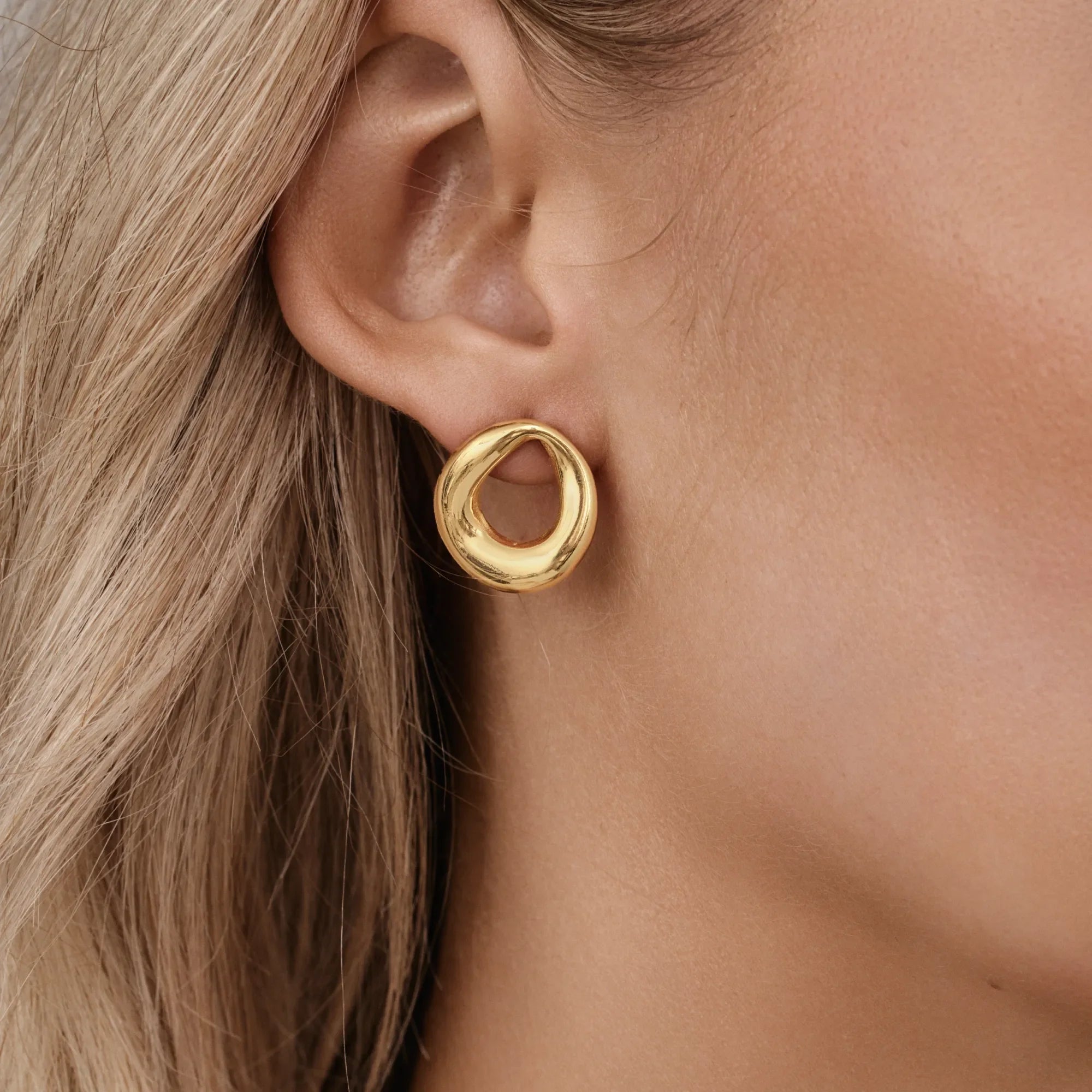 Sculpted Loop Earrings