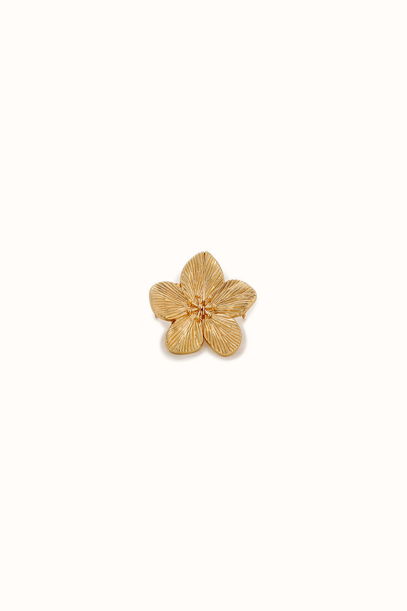 Lara Flor - Jeans Pin