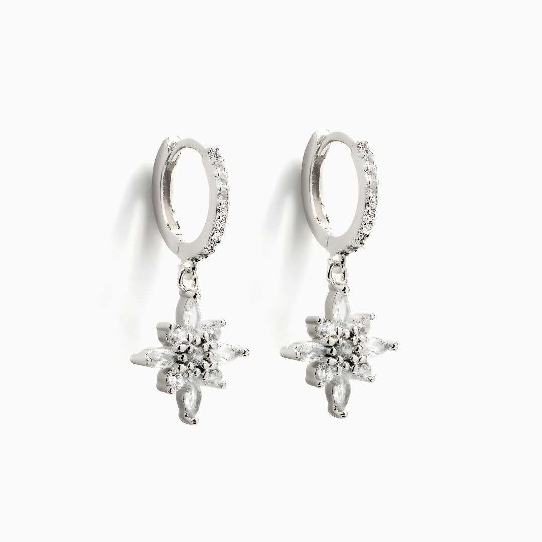 Demeter S925 Earrings