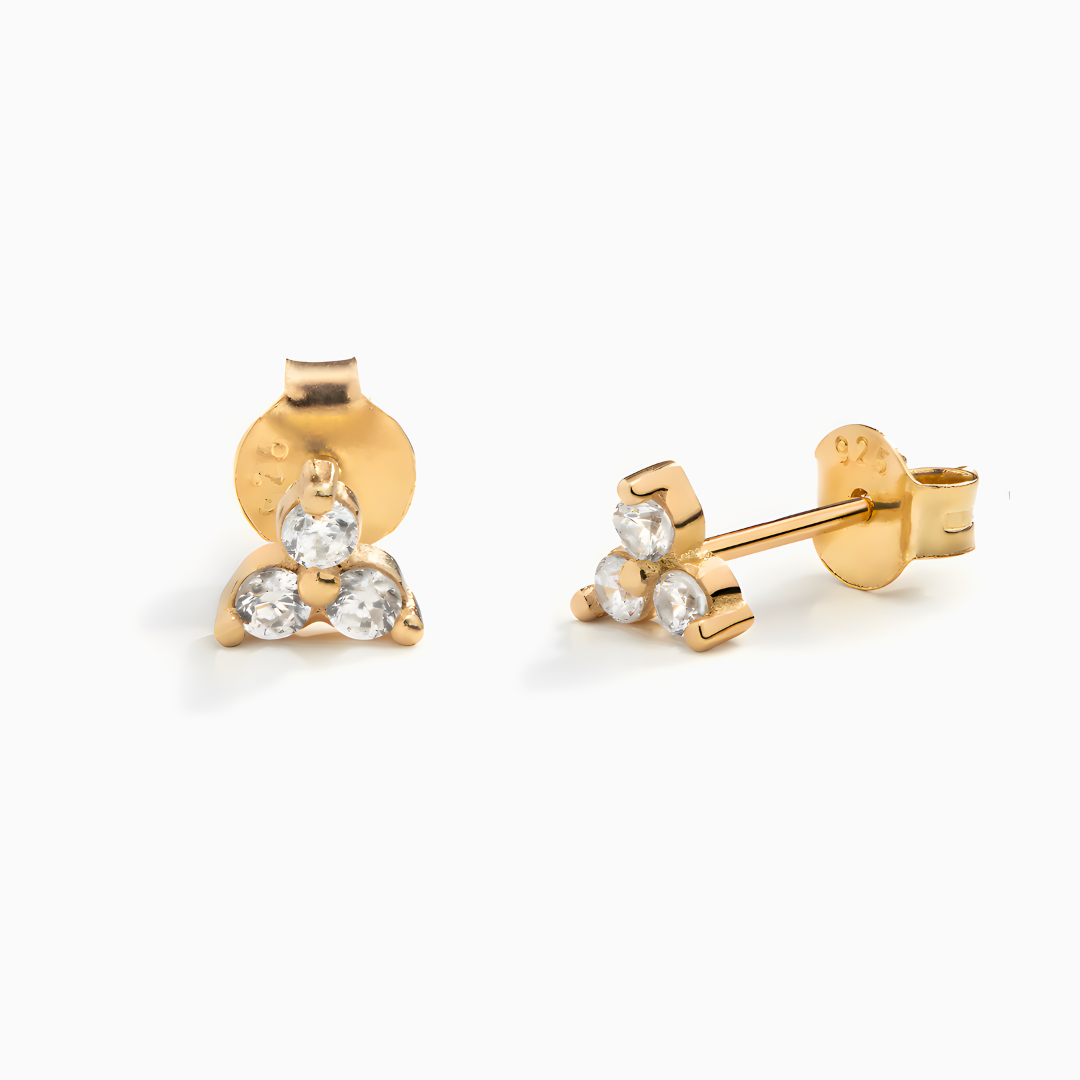 Sparkling Earrings
