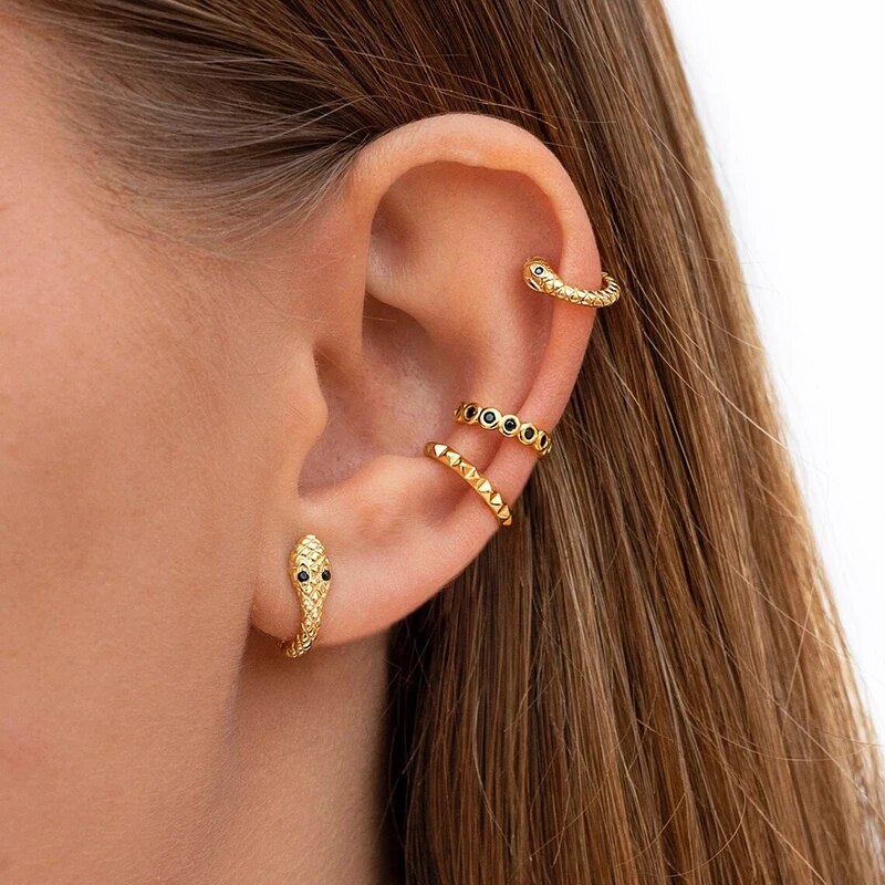 Snake Earrings Set