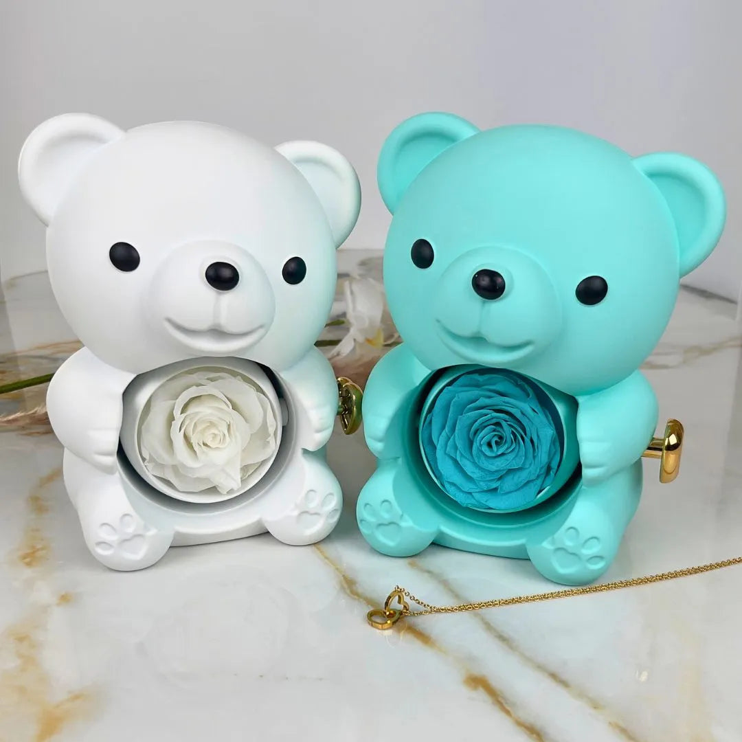Oso Eterno & Collar Personalizado